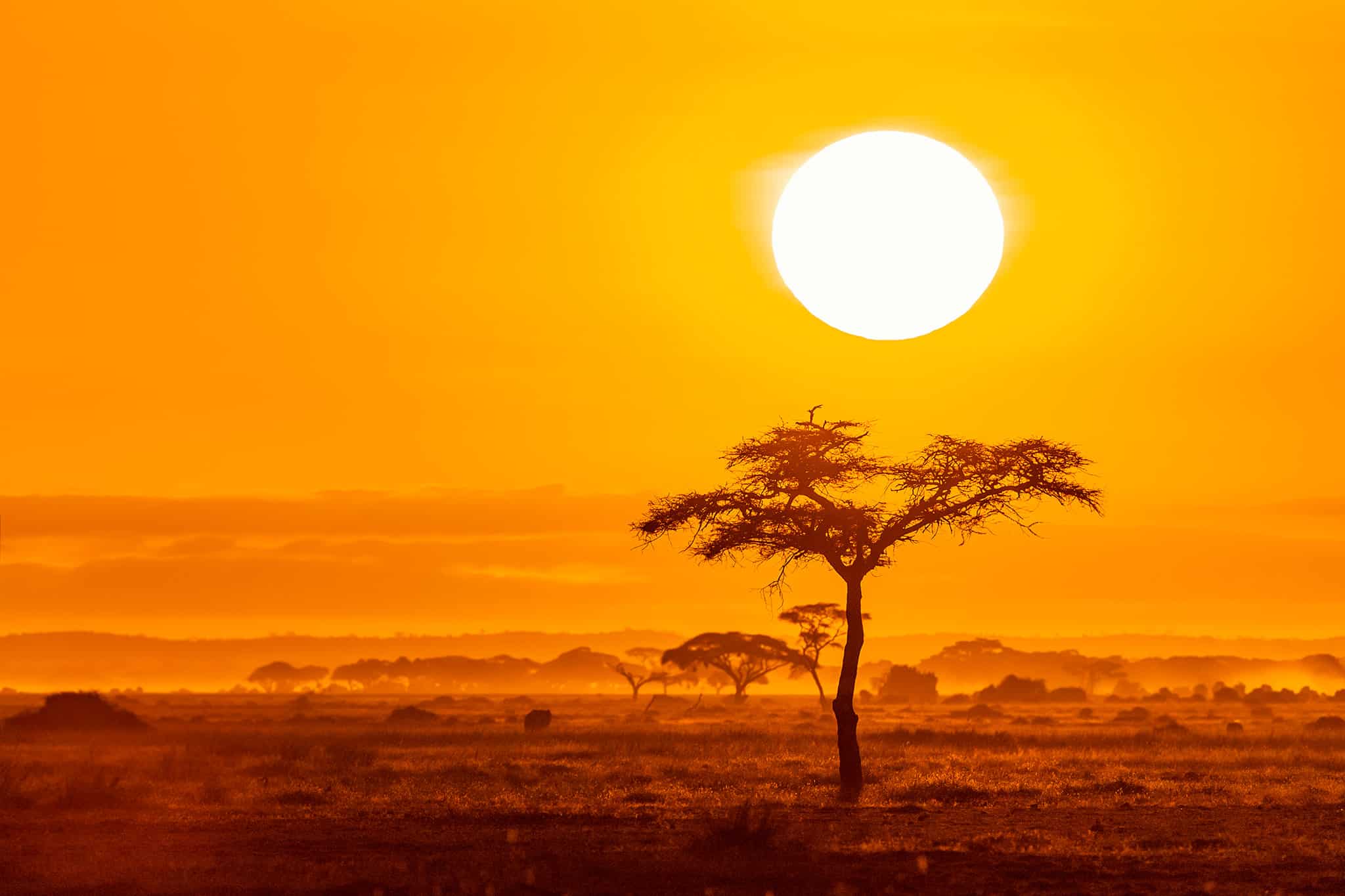 Viaggio fotografico Kenya – Tsavo Est, Tsavo Ovest, Amboseli
