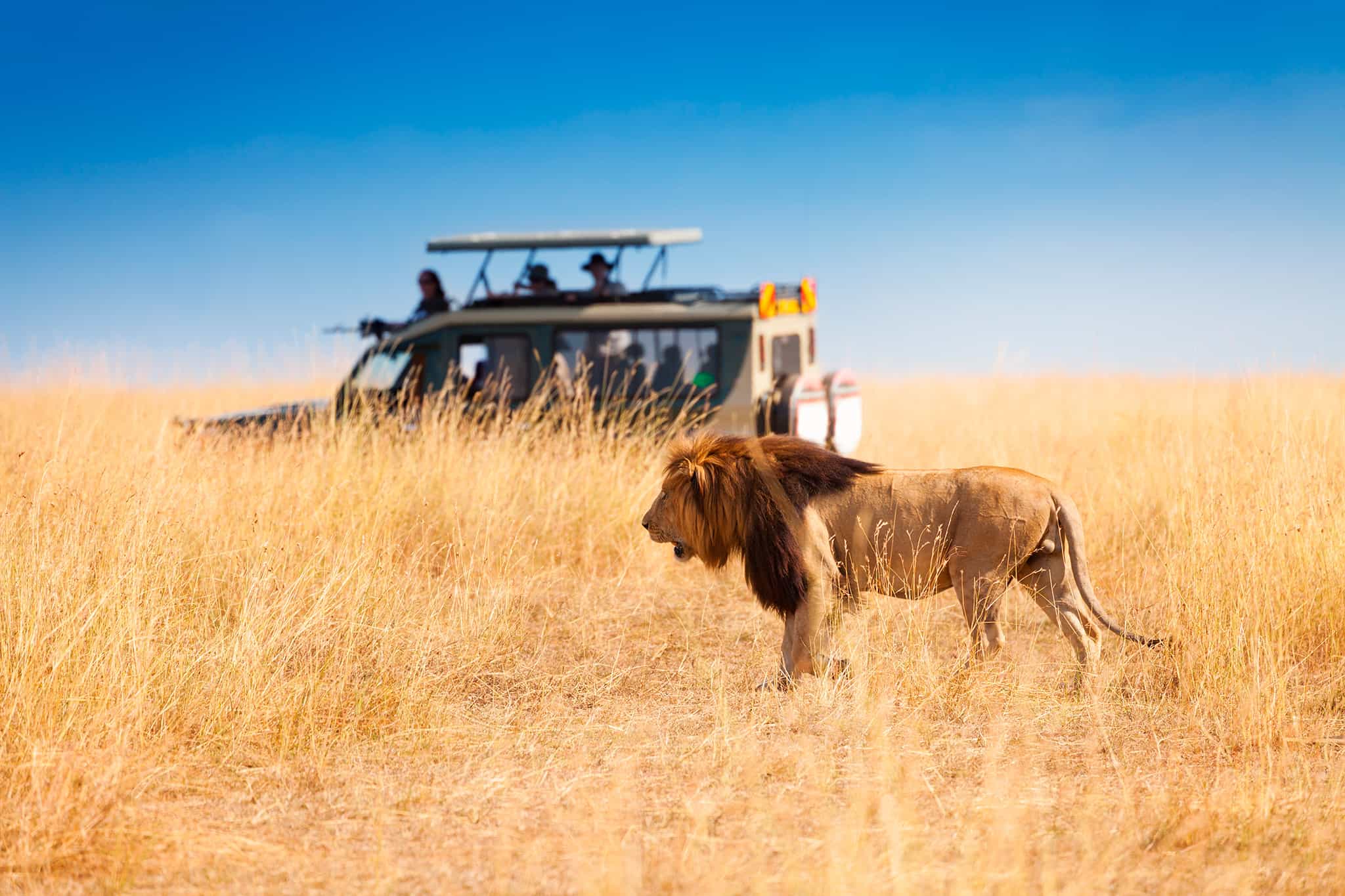 Viaggio fotografico Kenya – Tsavo Est, Tsavo Ovest, Amboseli