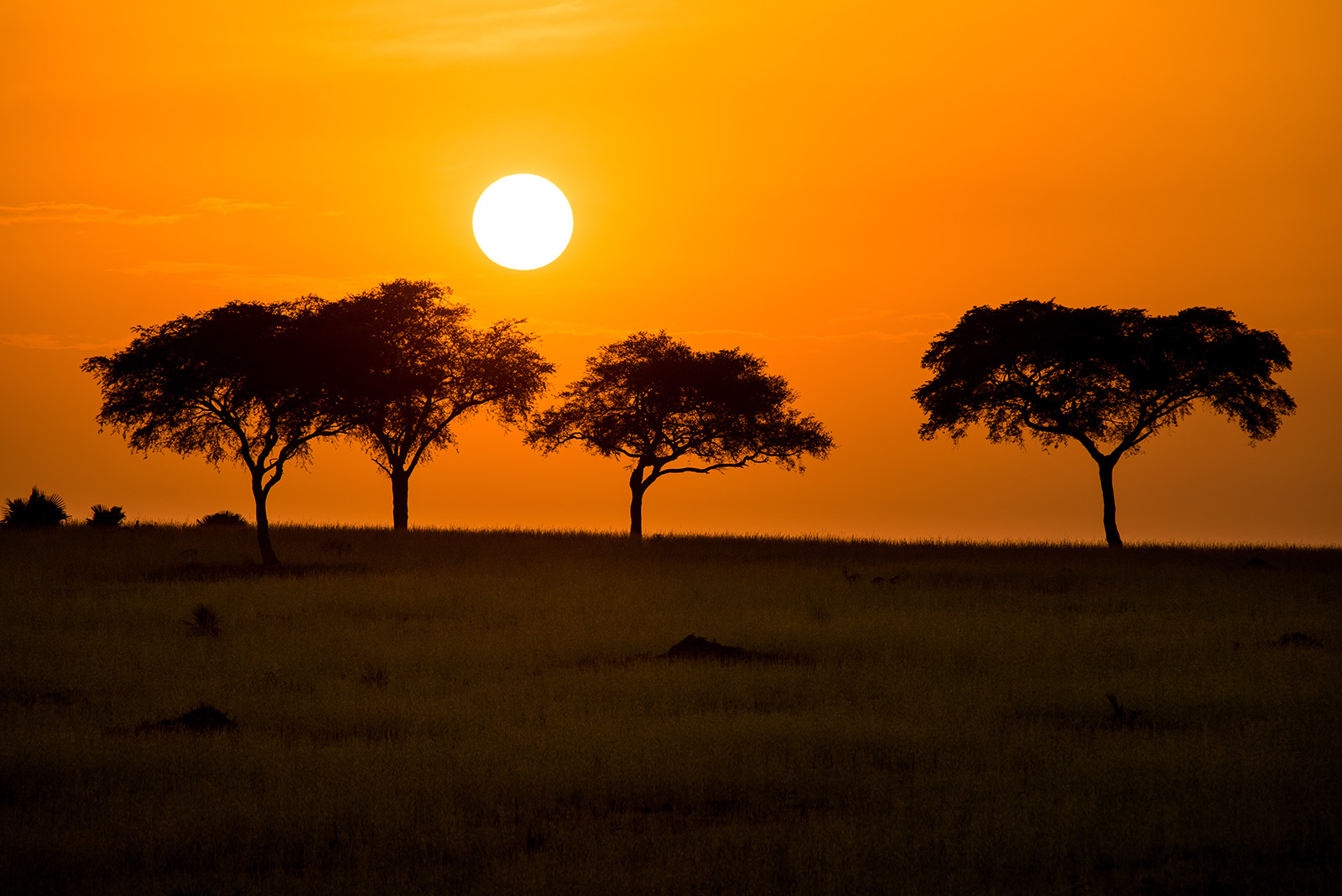 Viaggio fotografico Uganda